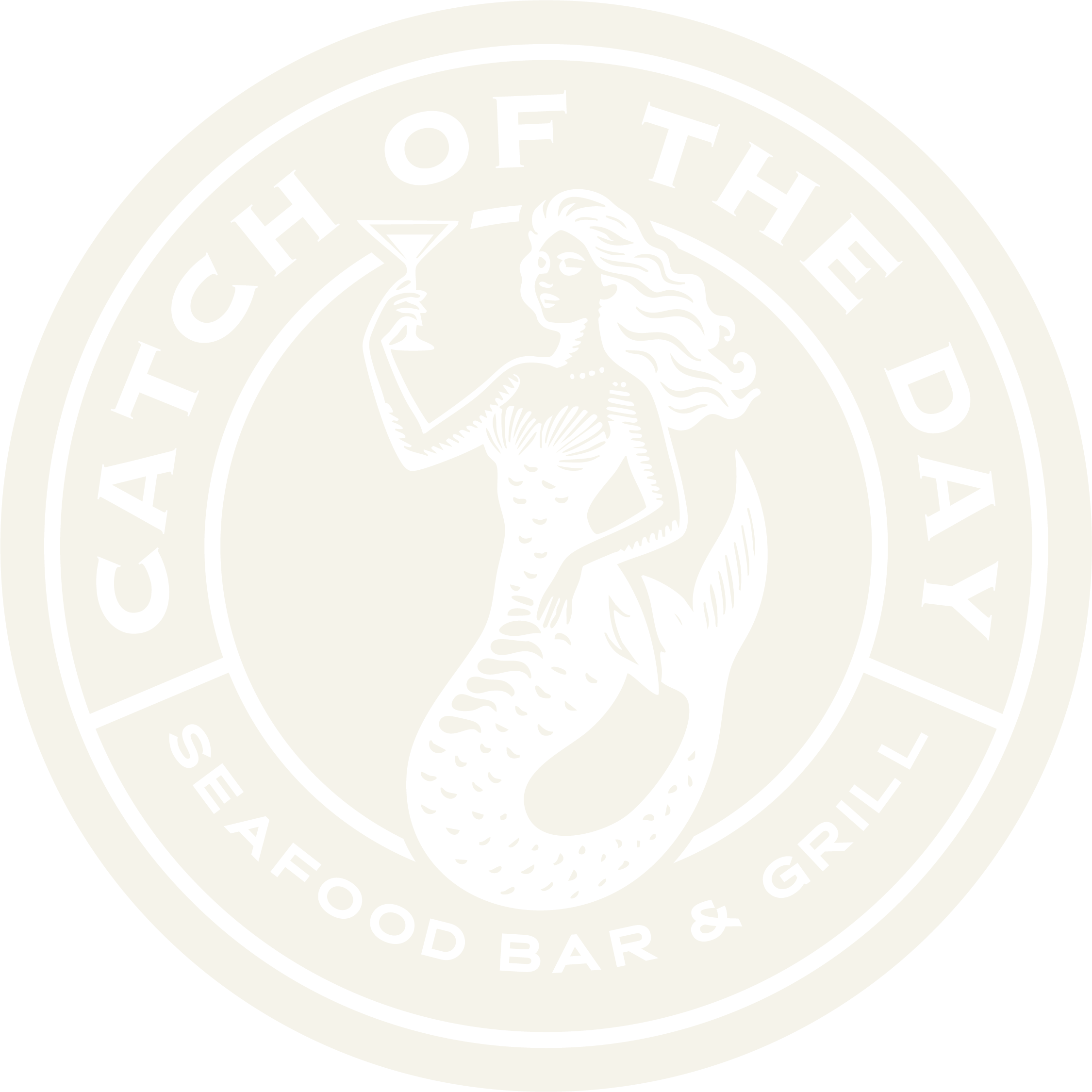Catch of the Day - Seafood Bar & Grill